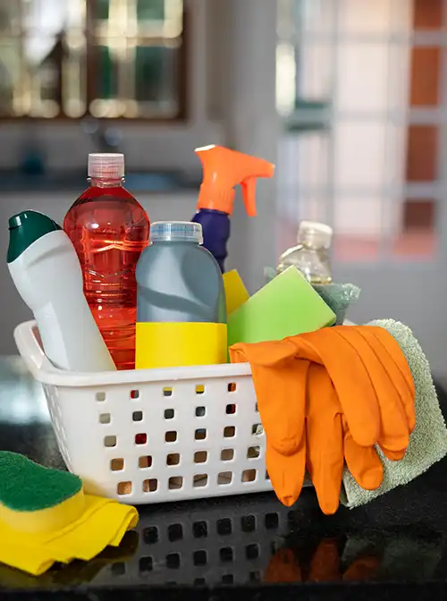 zdjecie pomocnicze kontakt Zlota Scierka