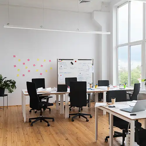 Zdjęcie wizualizujące realizację Złota Ścierka